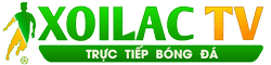cổ phiếu hòa phát